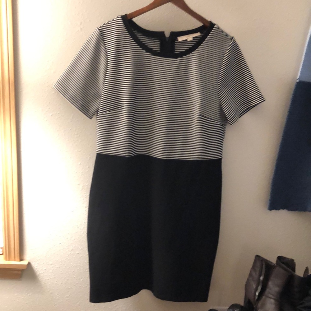 Loft dress zip back